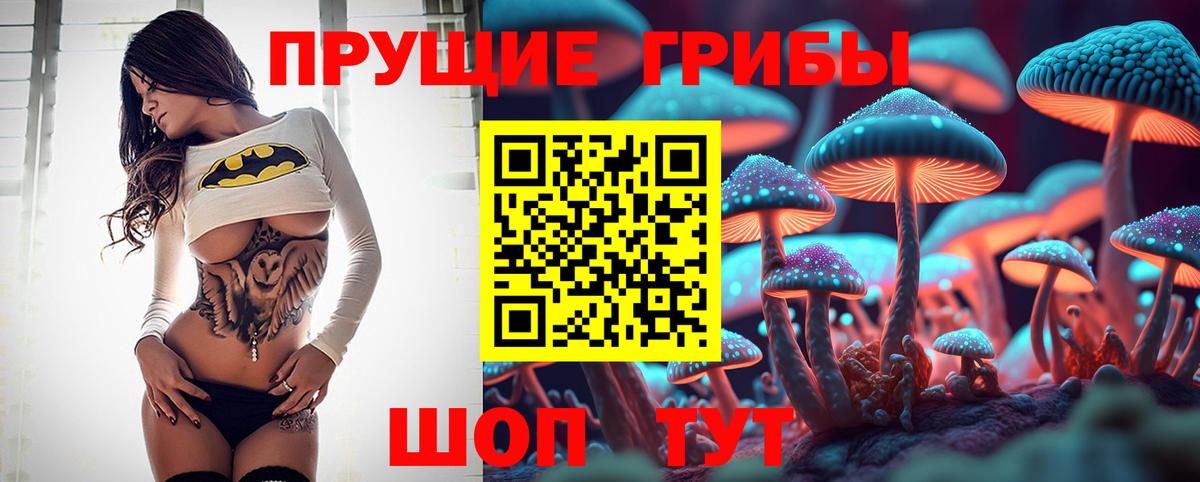 Улан-Удэ  Псилоцибиновые грибы прущие грибы  Псилоцибиновые грибы Psilocybe  Вход с VPN 