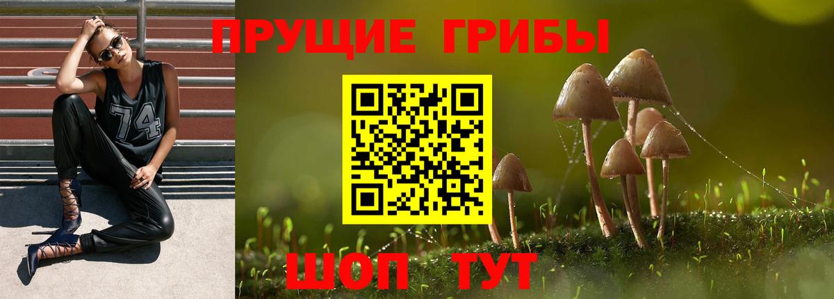 Псилоцибиновые грибы Psilocybine cubensis Улан-Удэ